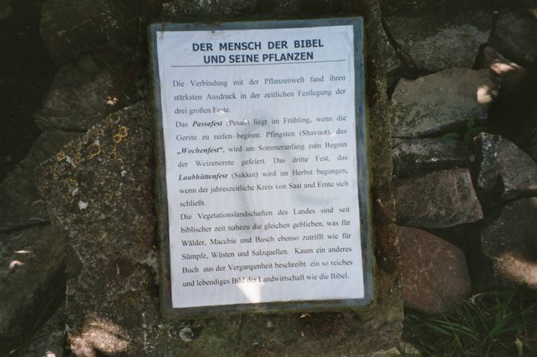 4. Tag Bibelgarten in Schöningen.jpg